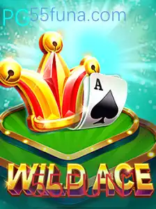 Explorando o Mundo Empolgante de WildAce